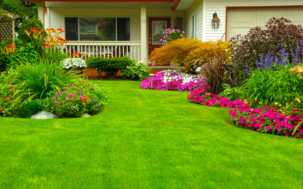 affordable landscaping in Auckland 