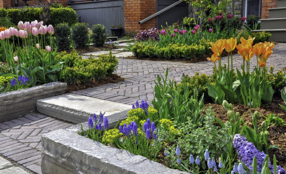 affordable landscaping in Auckland